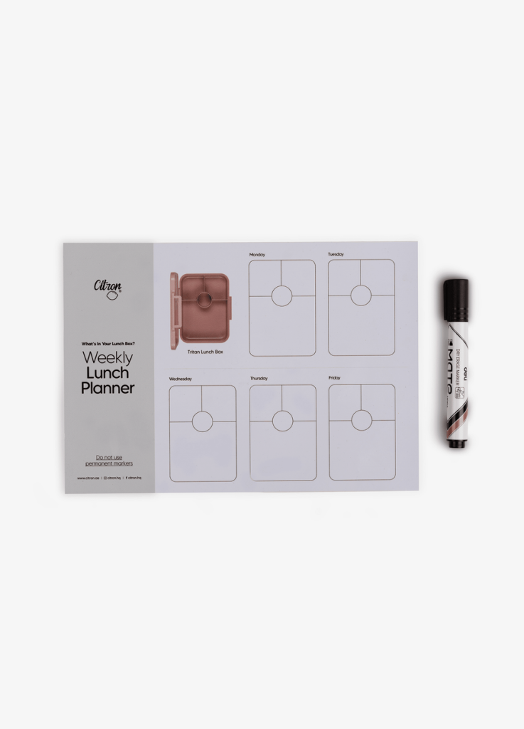 Back-to-School Stationery Staples Every Student Needs